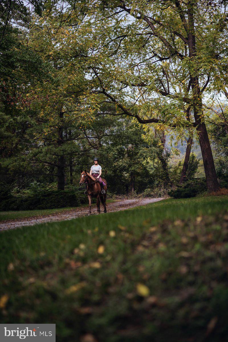 19606 RIDGESIDE ROAD