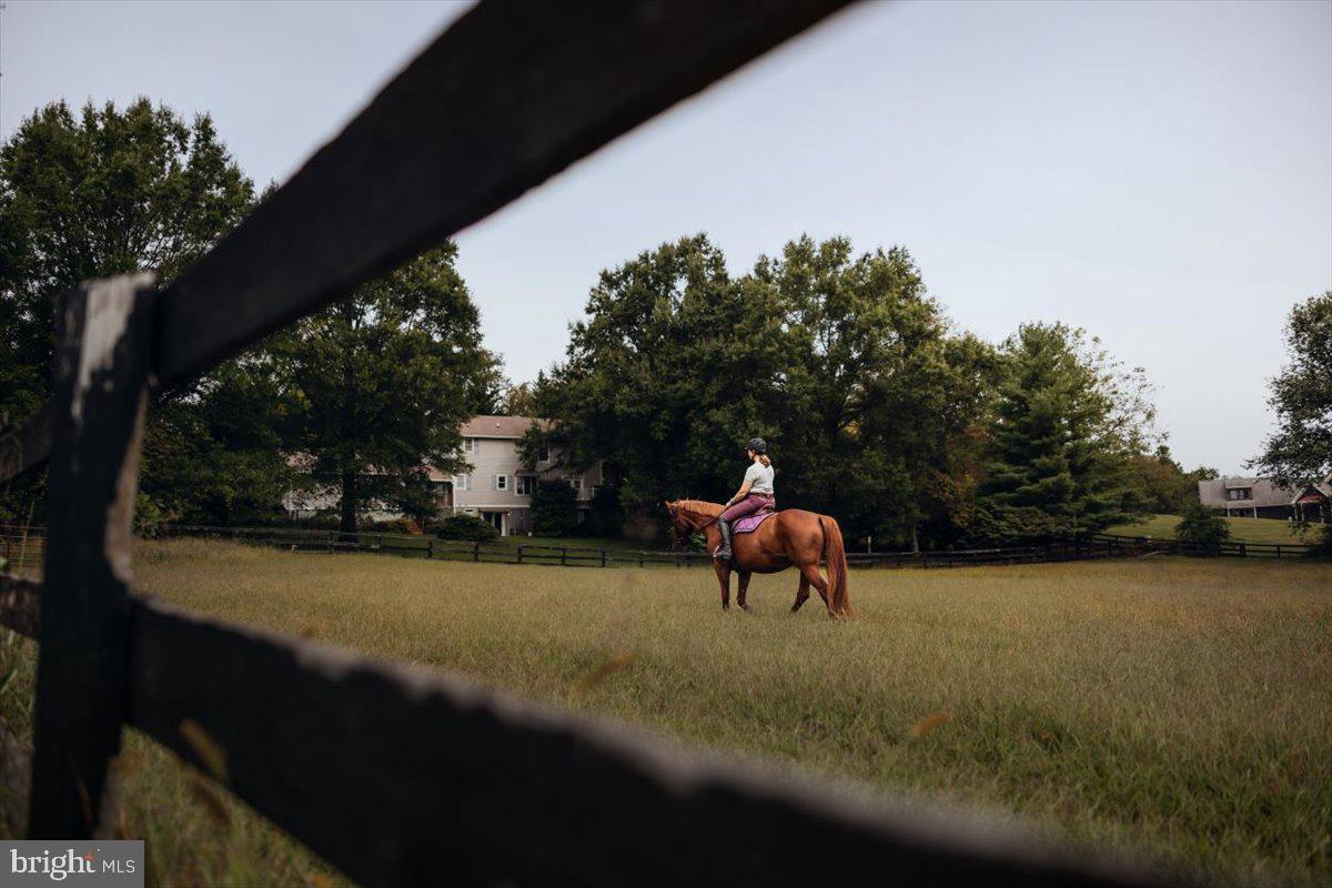 19606 RIDGESIDE ROAD