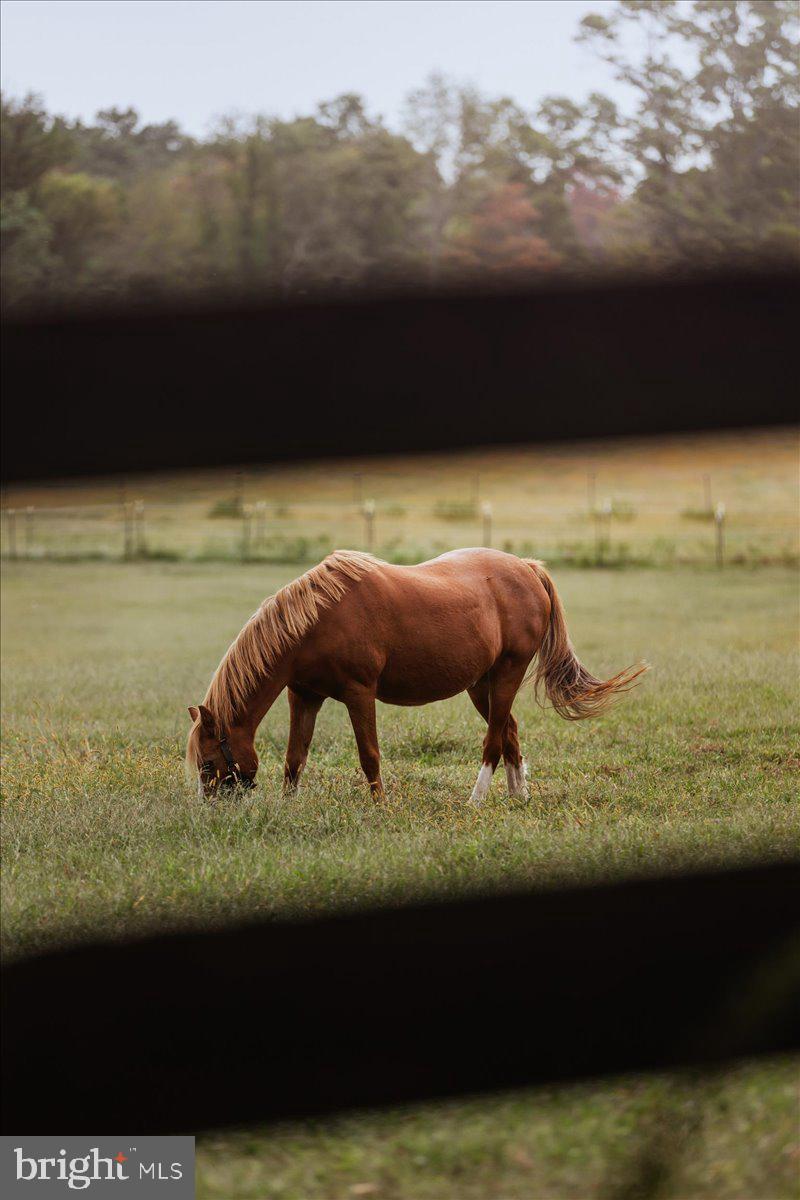 19606 RIDGESIDE ROAD