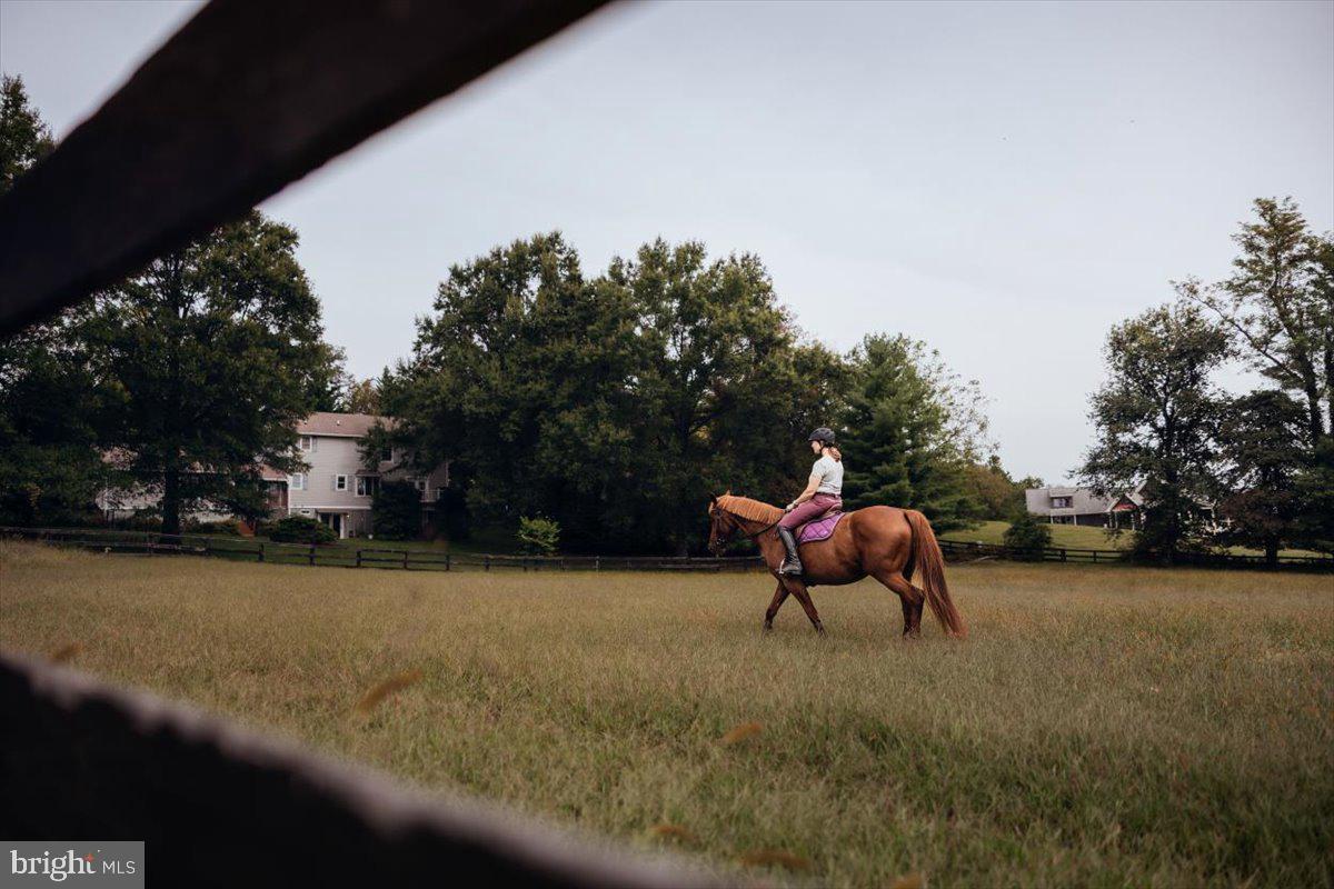 19606 RIDGESIDE ROAD