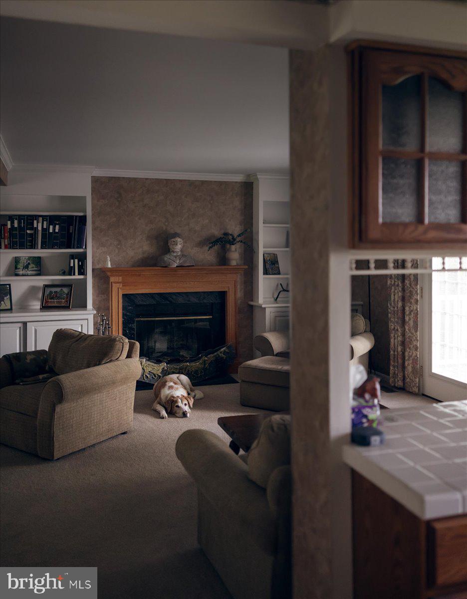 19606 RIDGESIDE ROAD