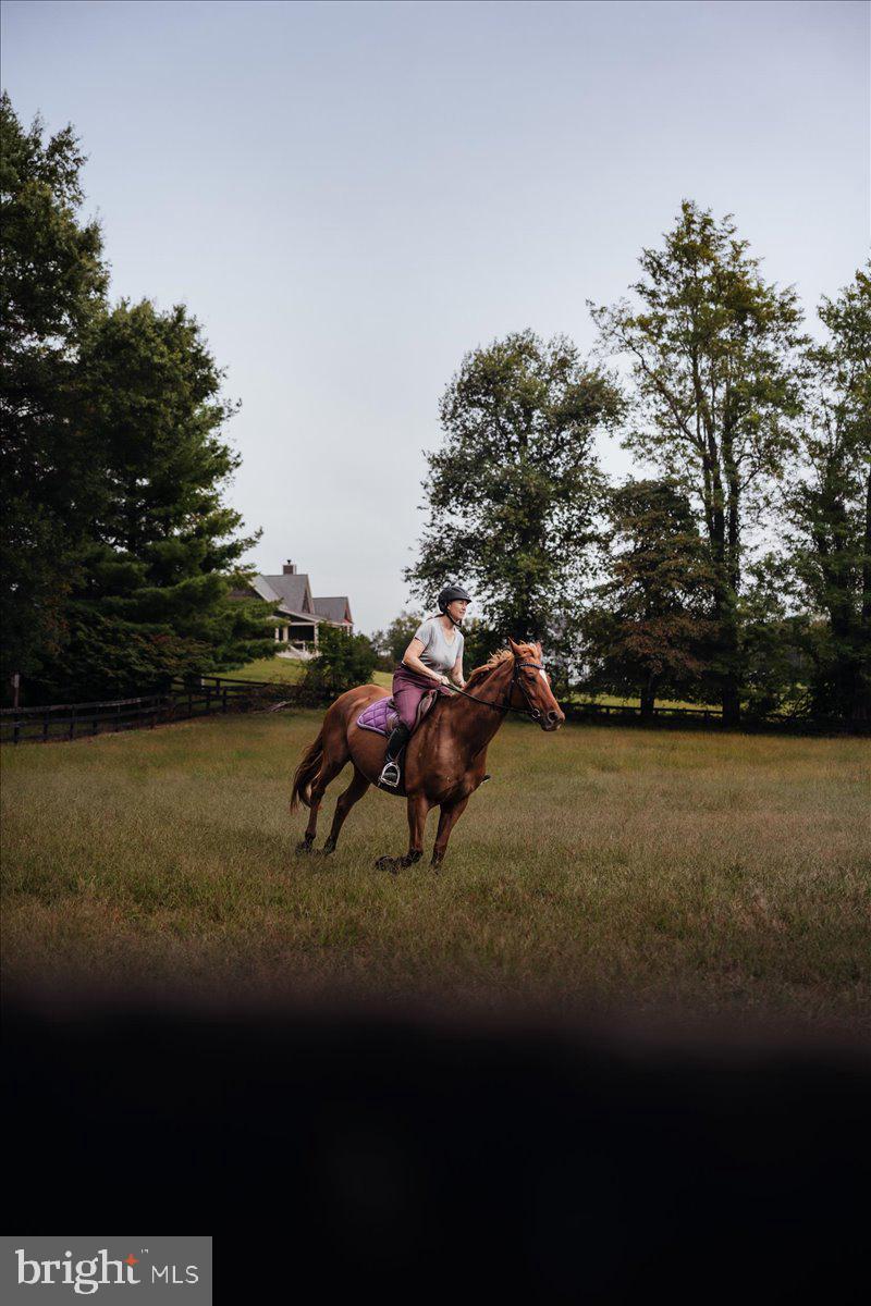 19606 RIDGESIDE ROAD