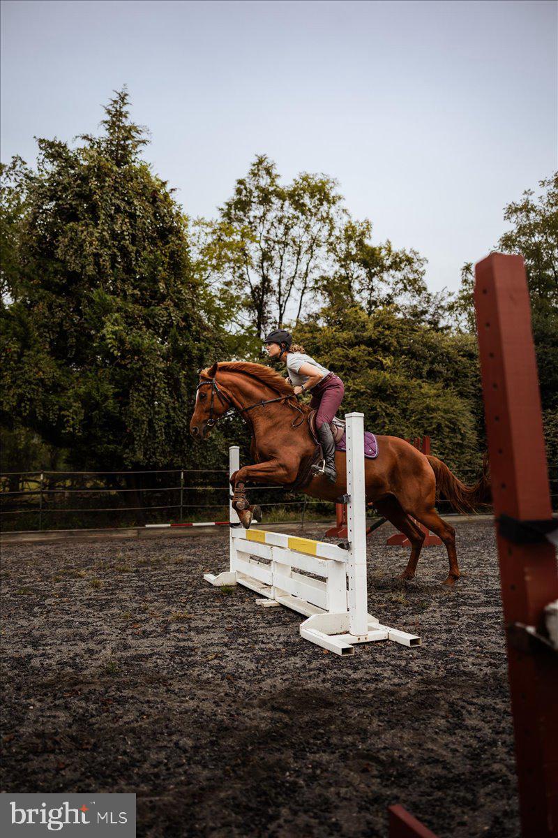 19606 RIDGESIDE ROAD