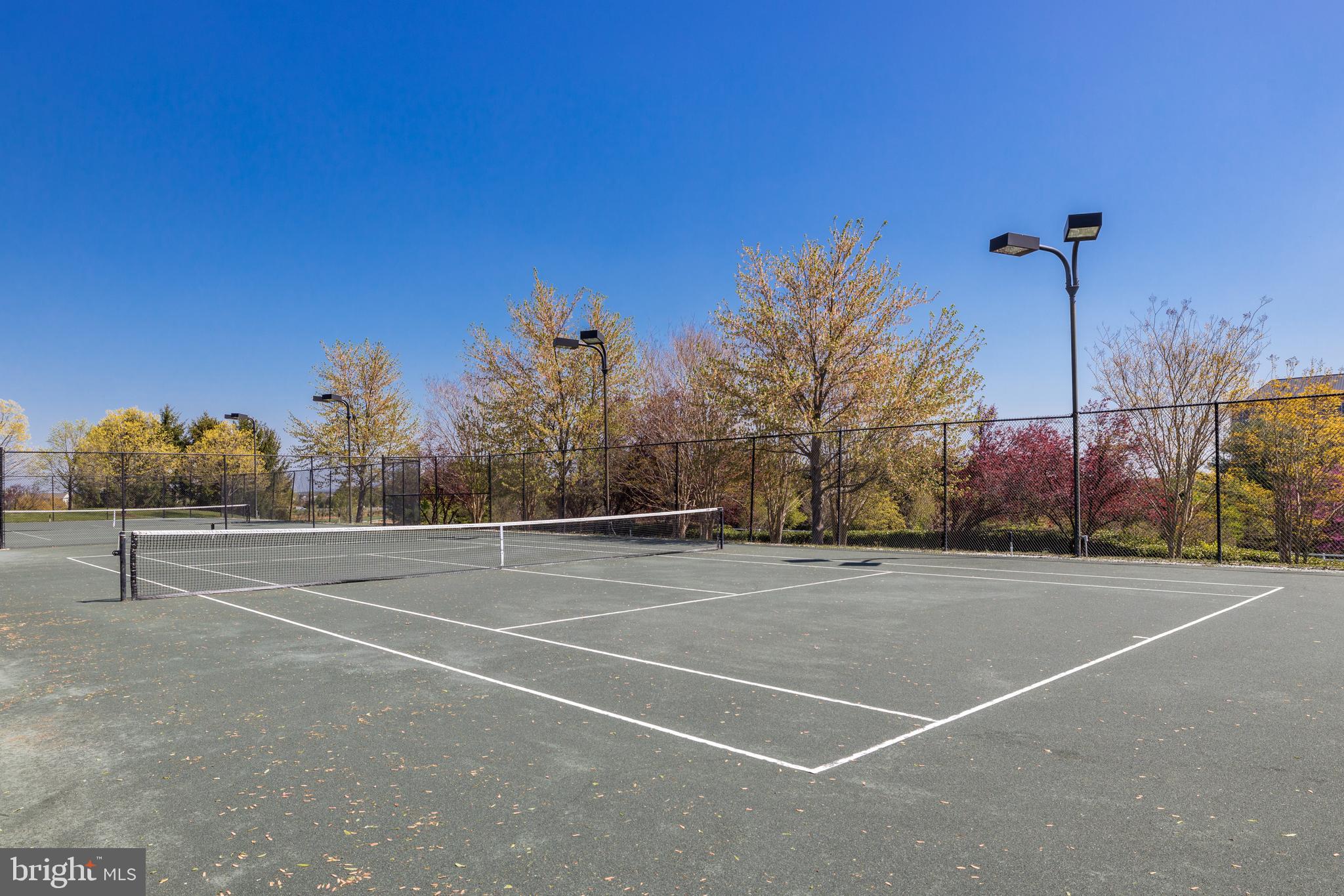 19746 WILLOWDALE PLACE