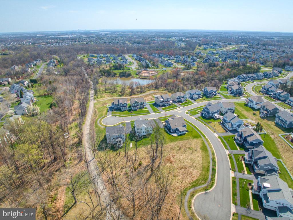 24277 GRAYLEAF WILLOW PLACE