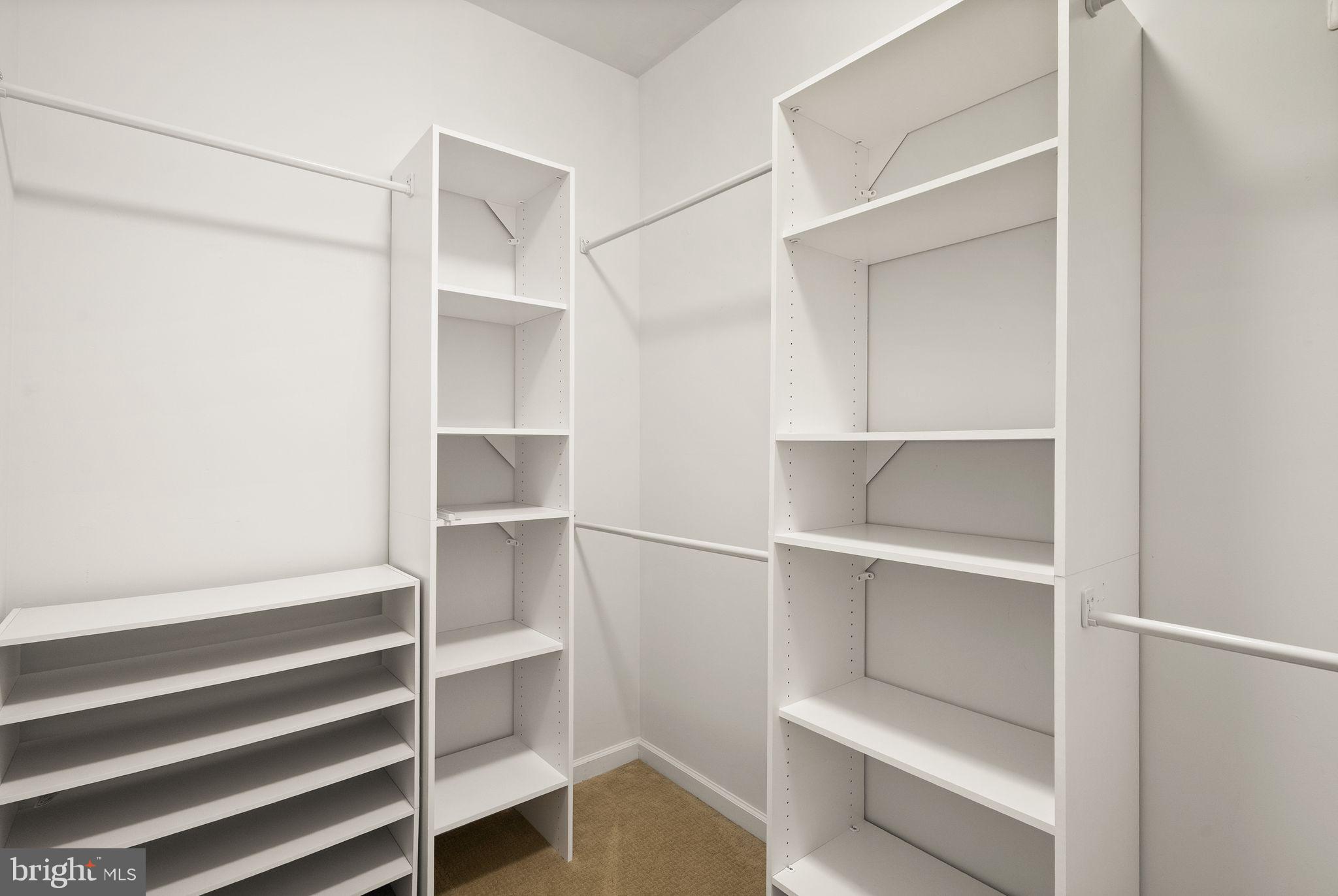 23466 BELVOIR WOODS TERRACE