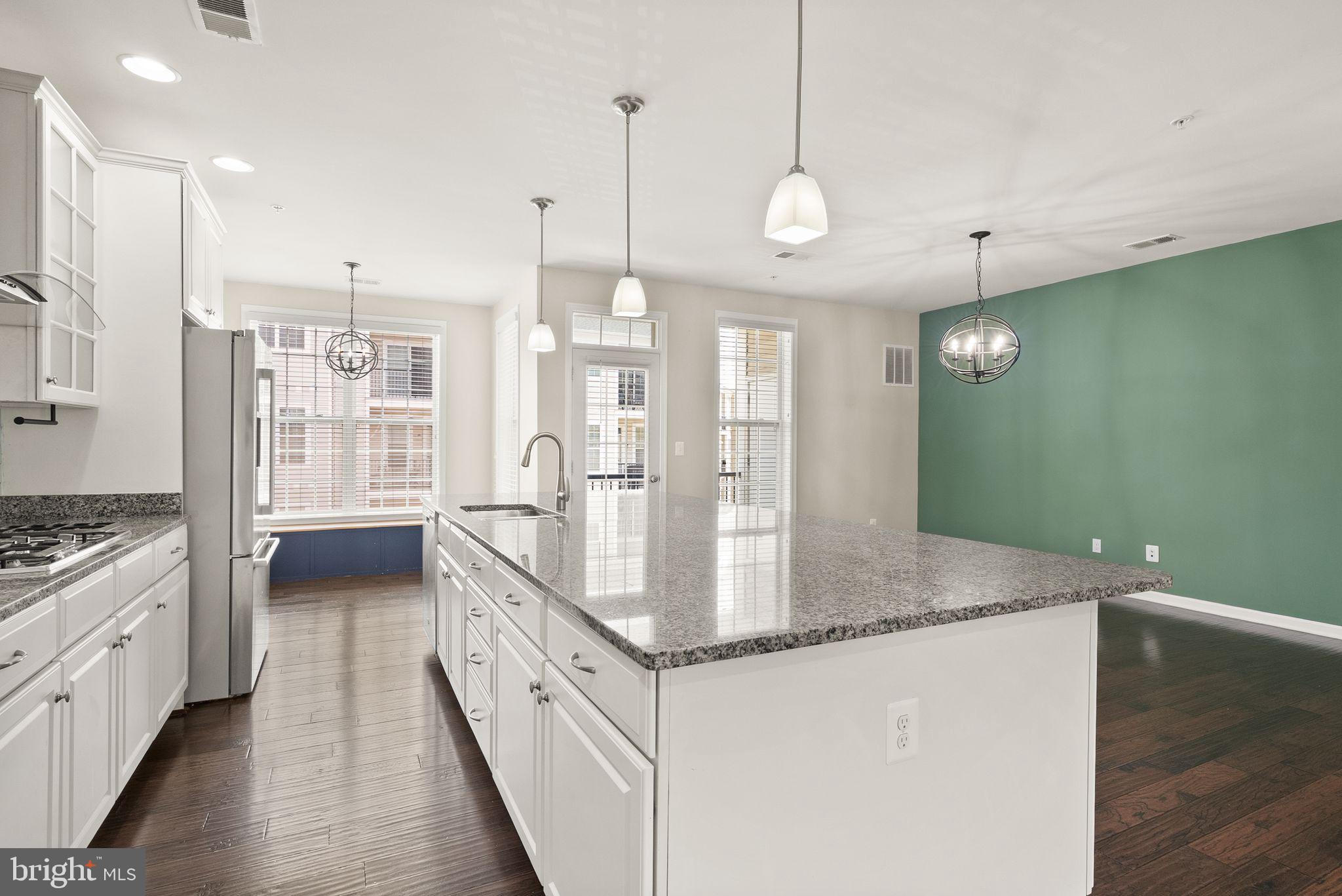 23466 BELVOIR WOODS TERRACE