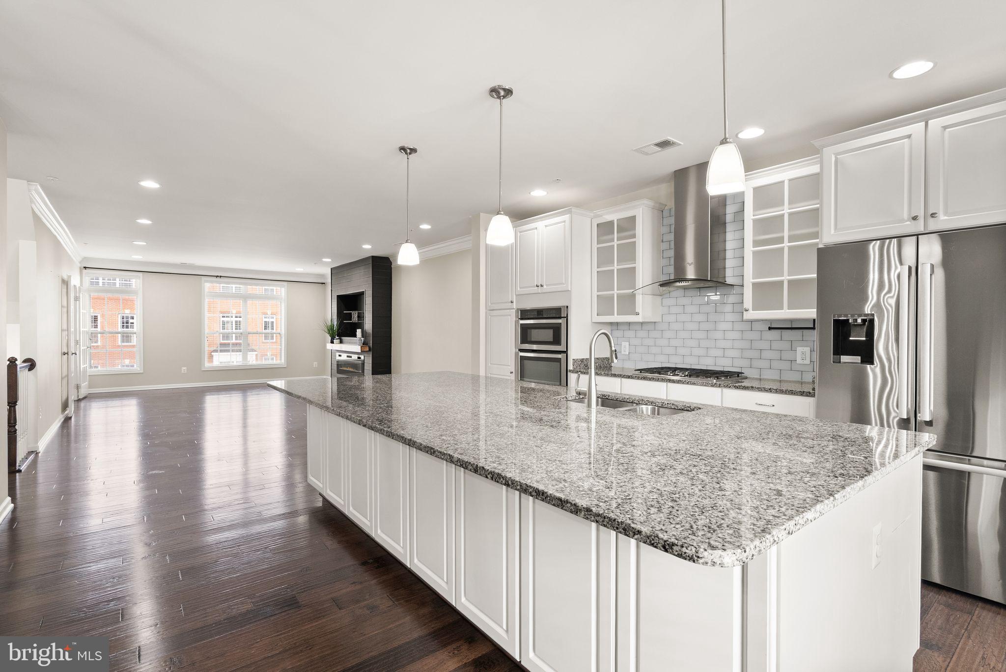 23466 BELVOIR WOODS TERRACE