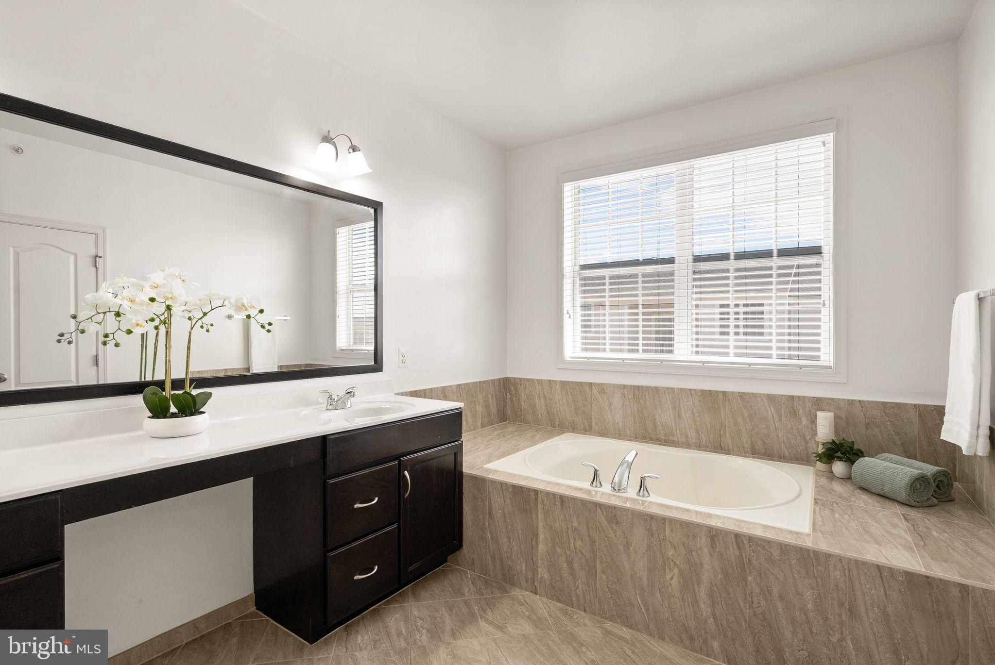 23466 BELVOIR WOODS TERRACE