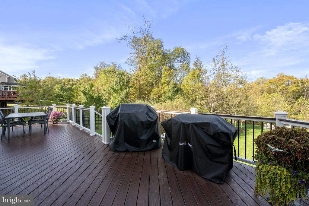 13538 EAGLES REST DRIVE