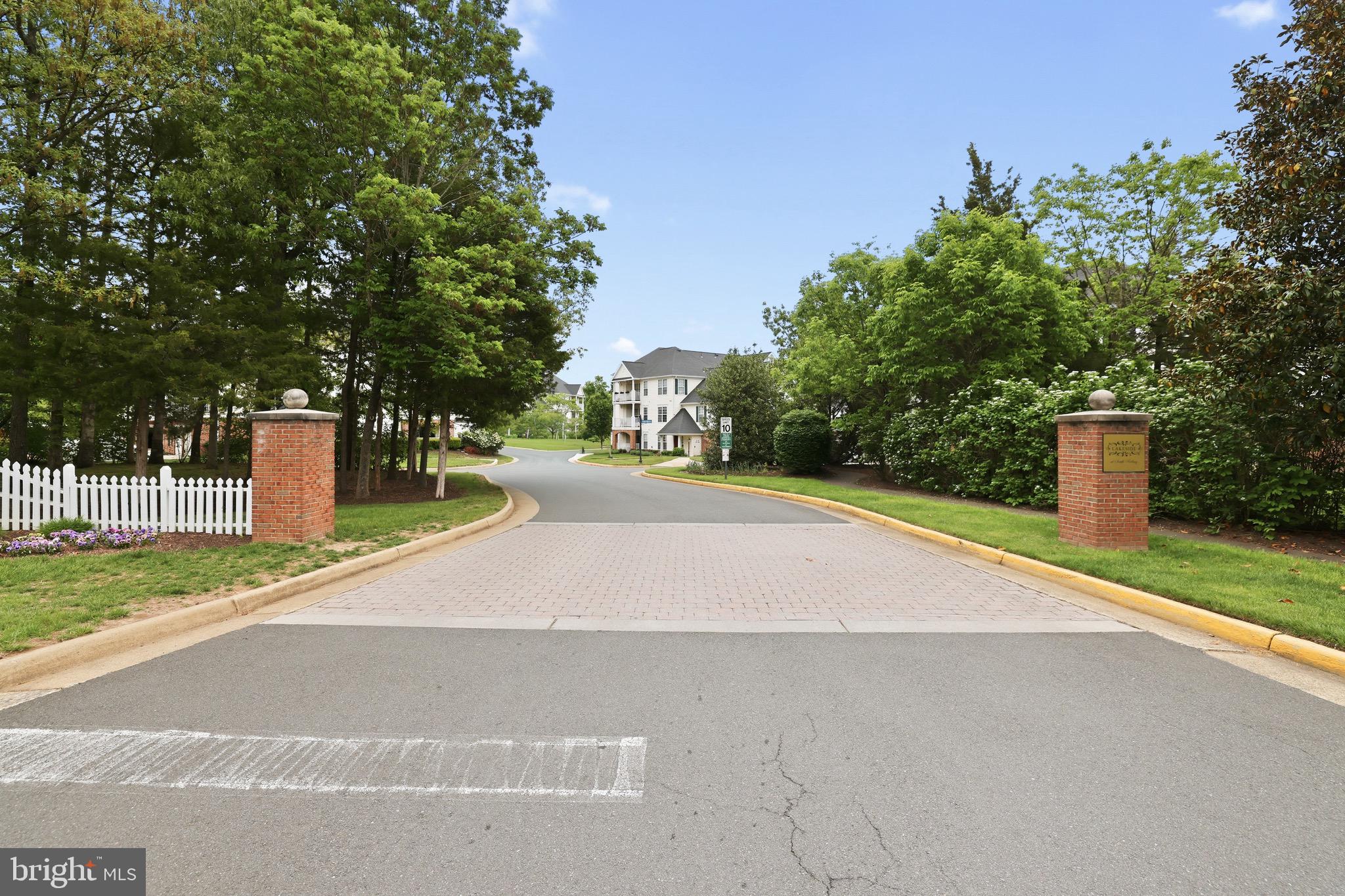 25340 LAKE MIST 304