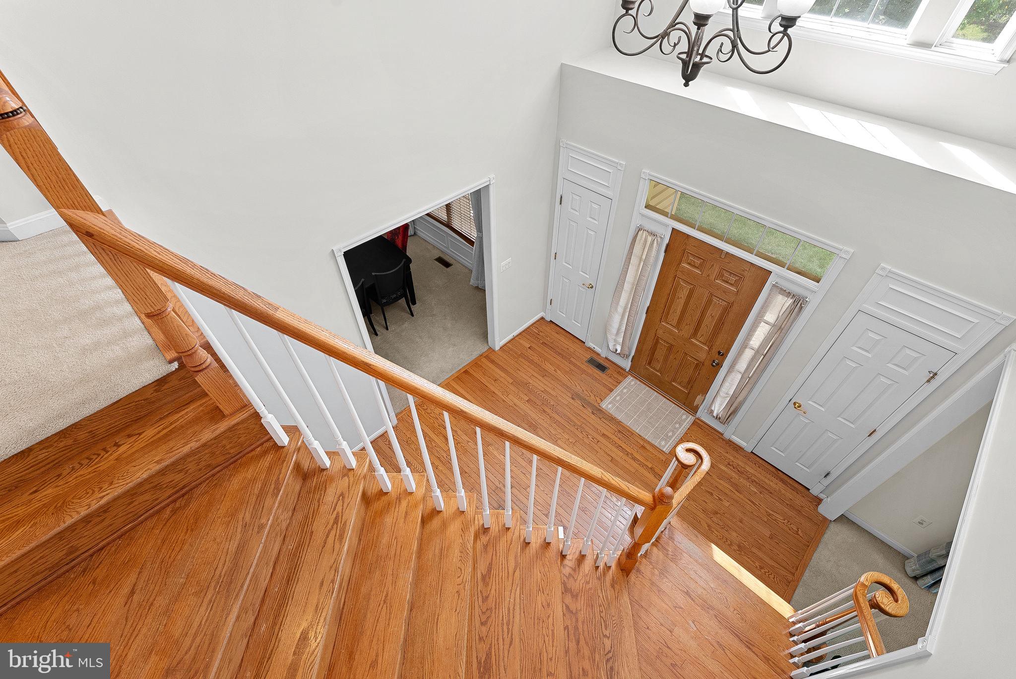 43294 RACHELLE ANN COURT