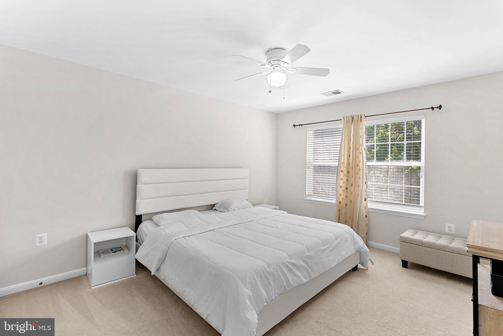 43294 RACHELLE ANN COURT