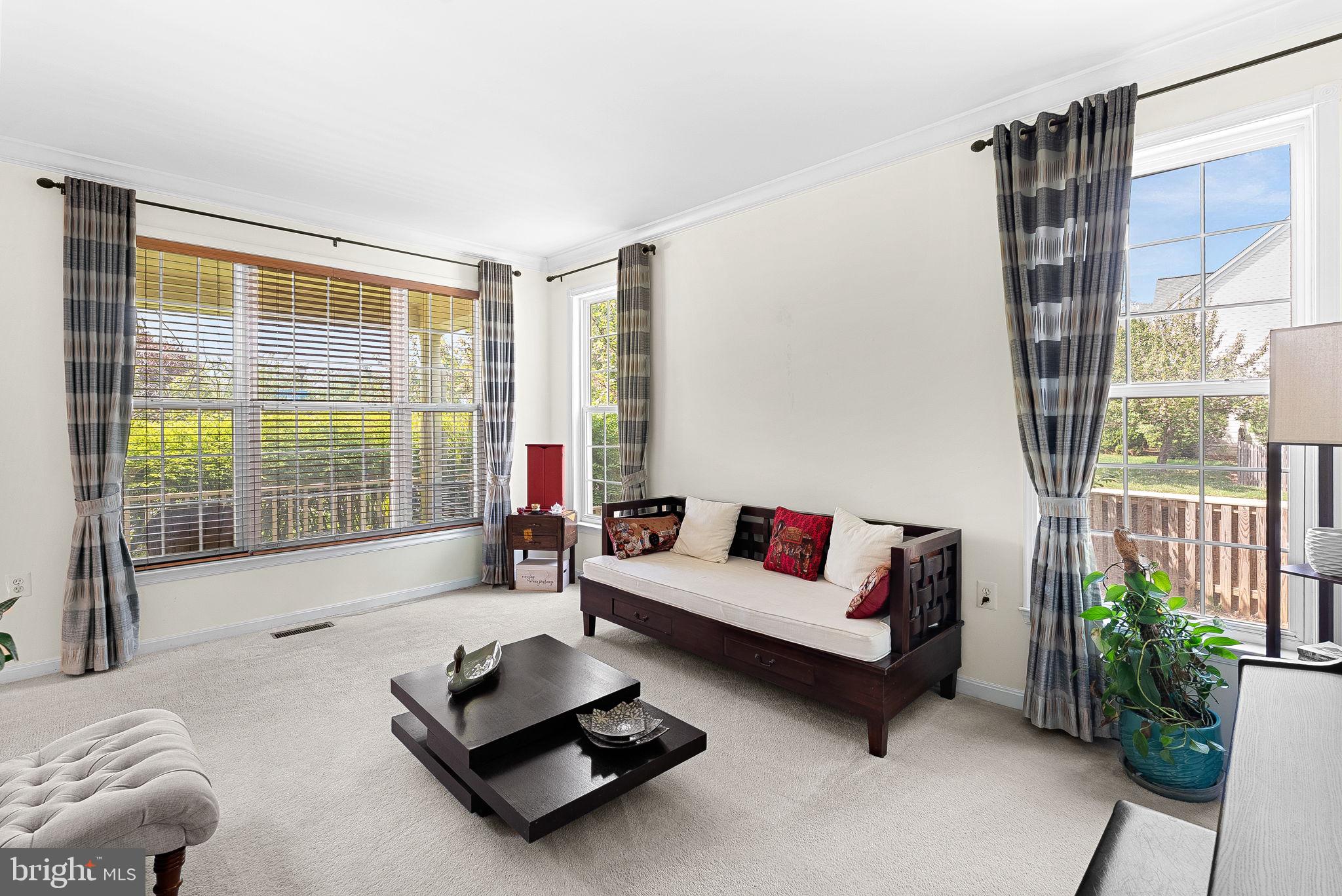 43294 RACHELLE ANN COURT