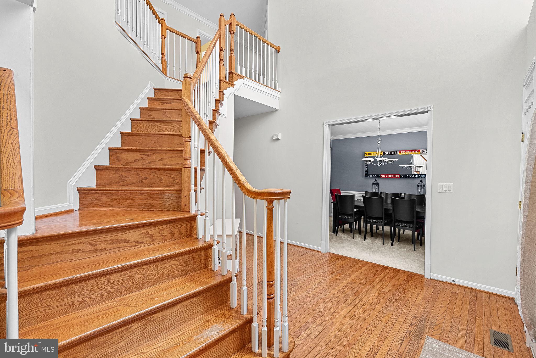 43294 RACHELLE ANN COURT