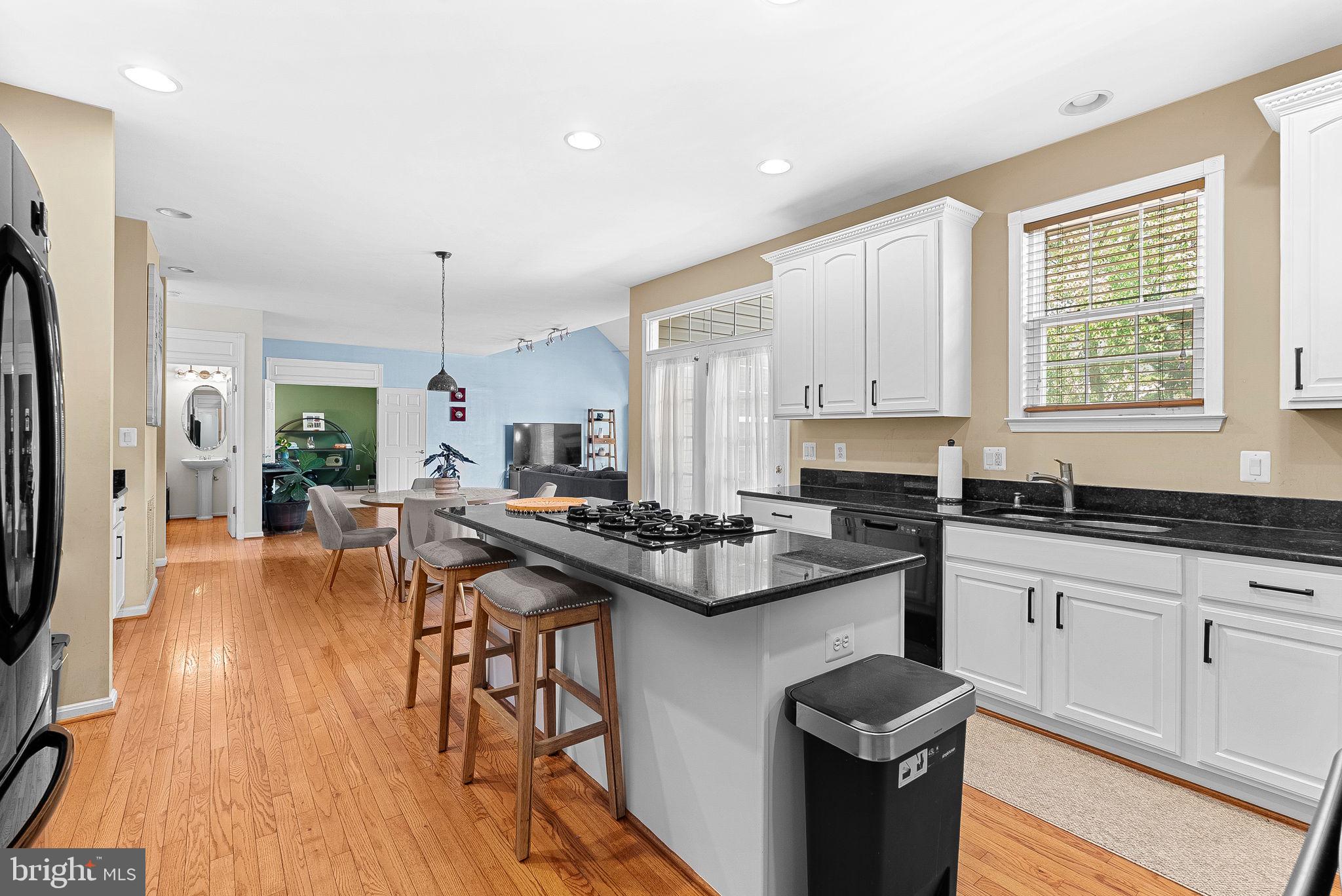 43294 RACHELLE ANN COURT