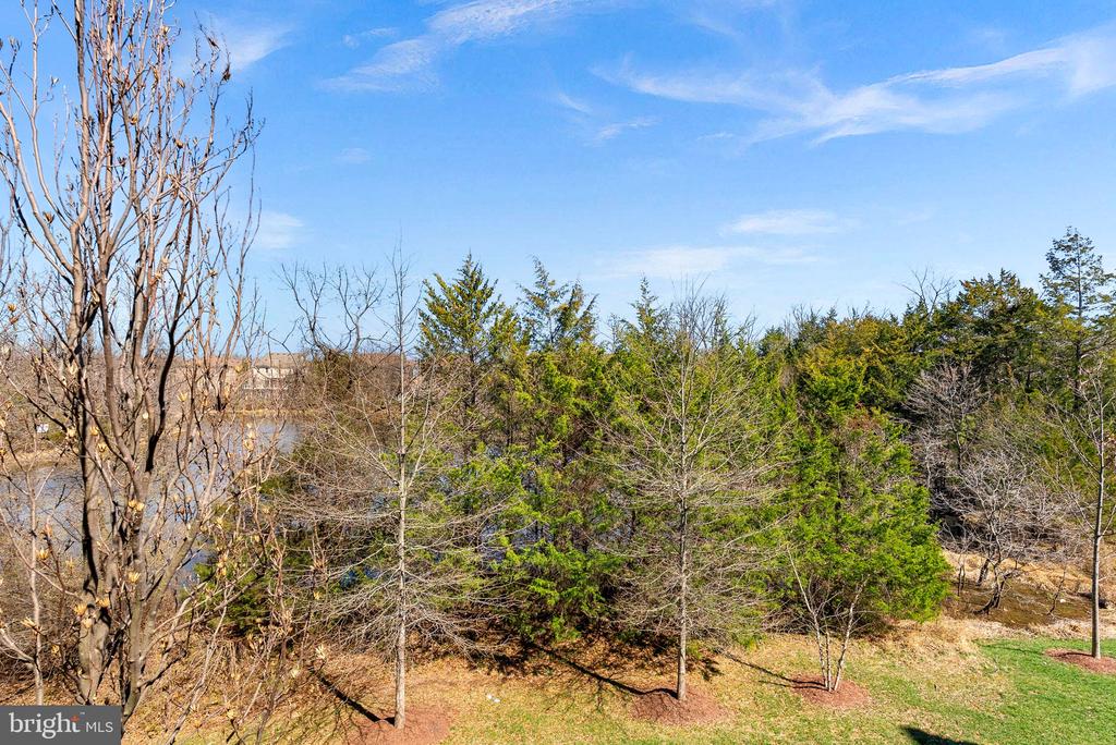 23104 SULLIVANS COVE SQUARE