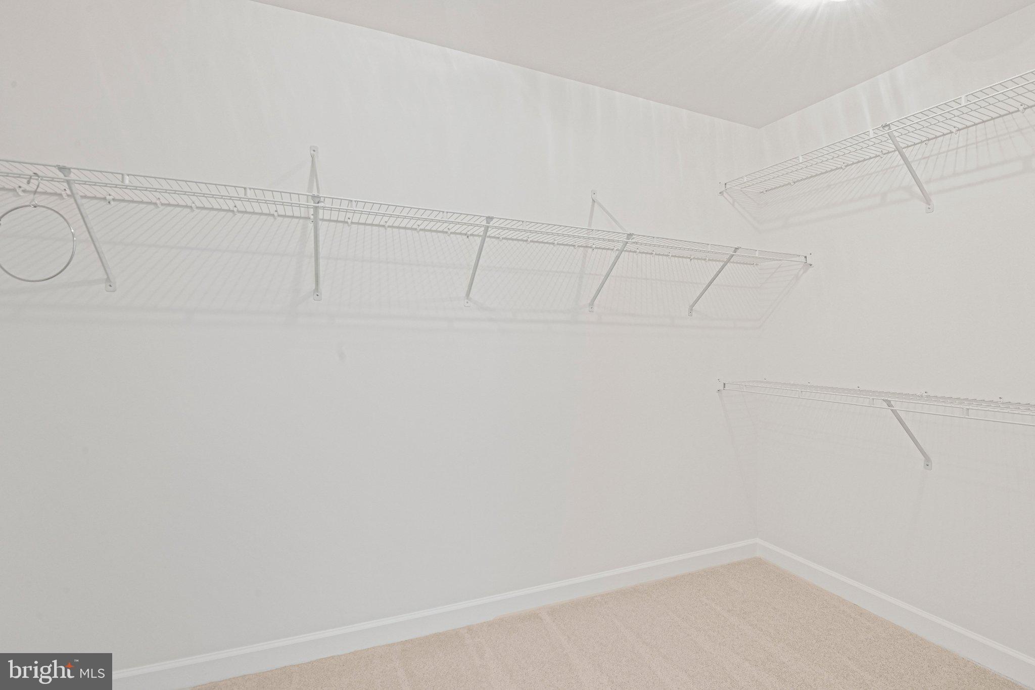 41824 ELOQUENCE TERRACE