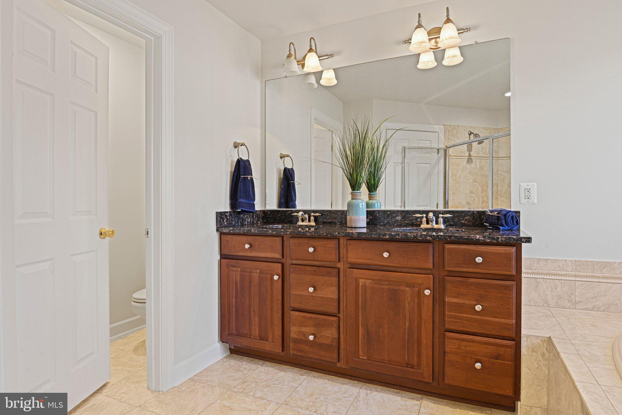 41824 ELOQUENCE TERRACE