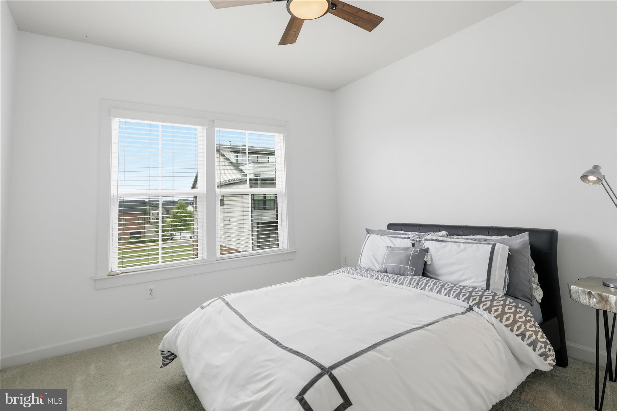 43392 WHITEHEAD TERRACE