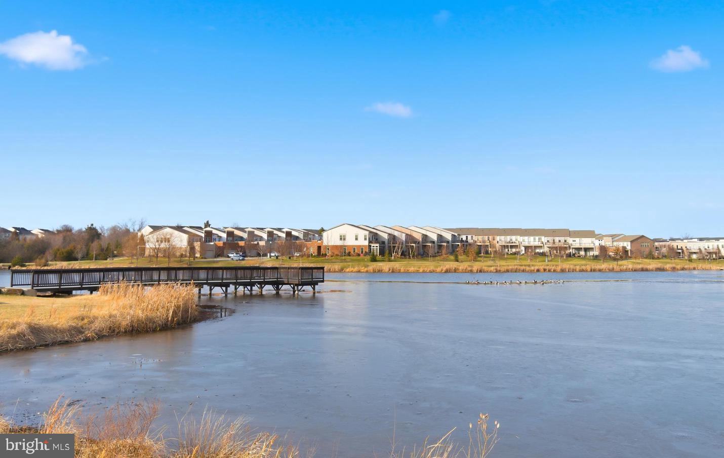 23669 GOLDEN EMBERS SQUARE 204