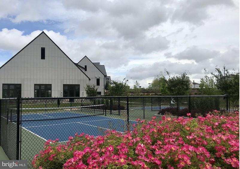 23669 GOLDEN EMBERS SQUARE 204