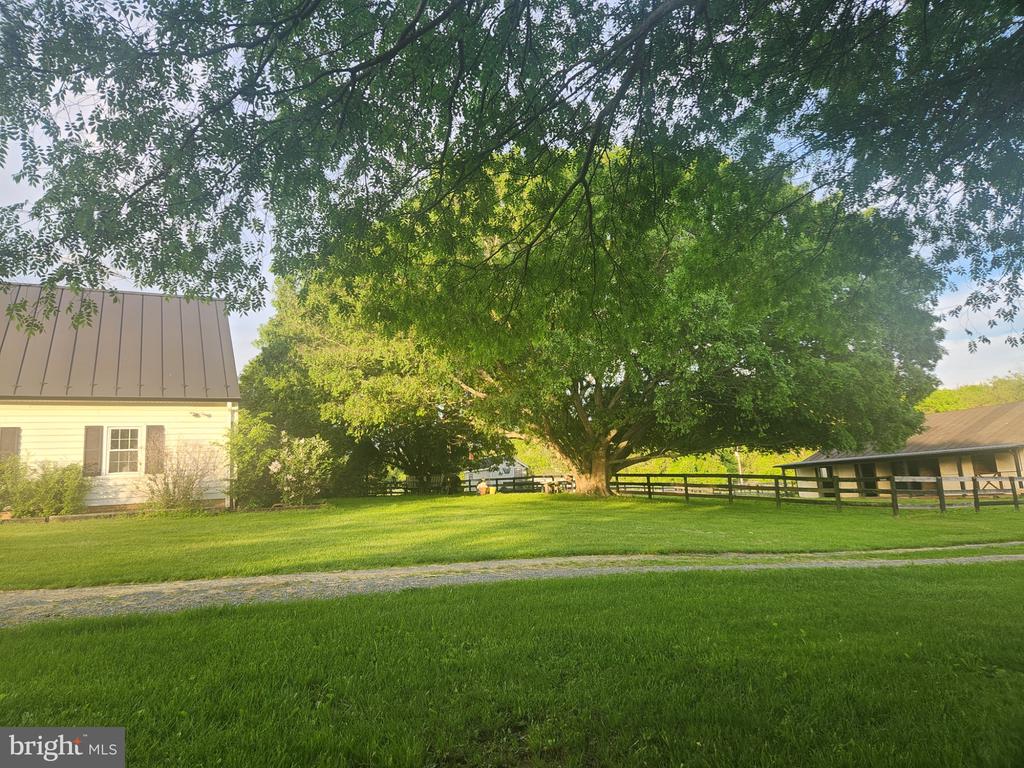 19255 TELEGRAPH SPRINGS ROAD