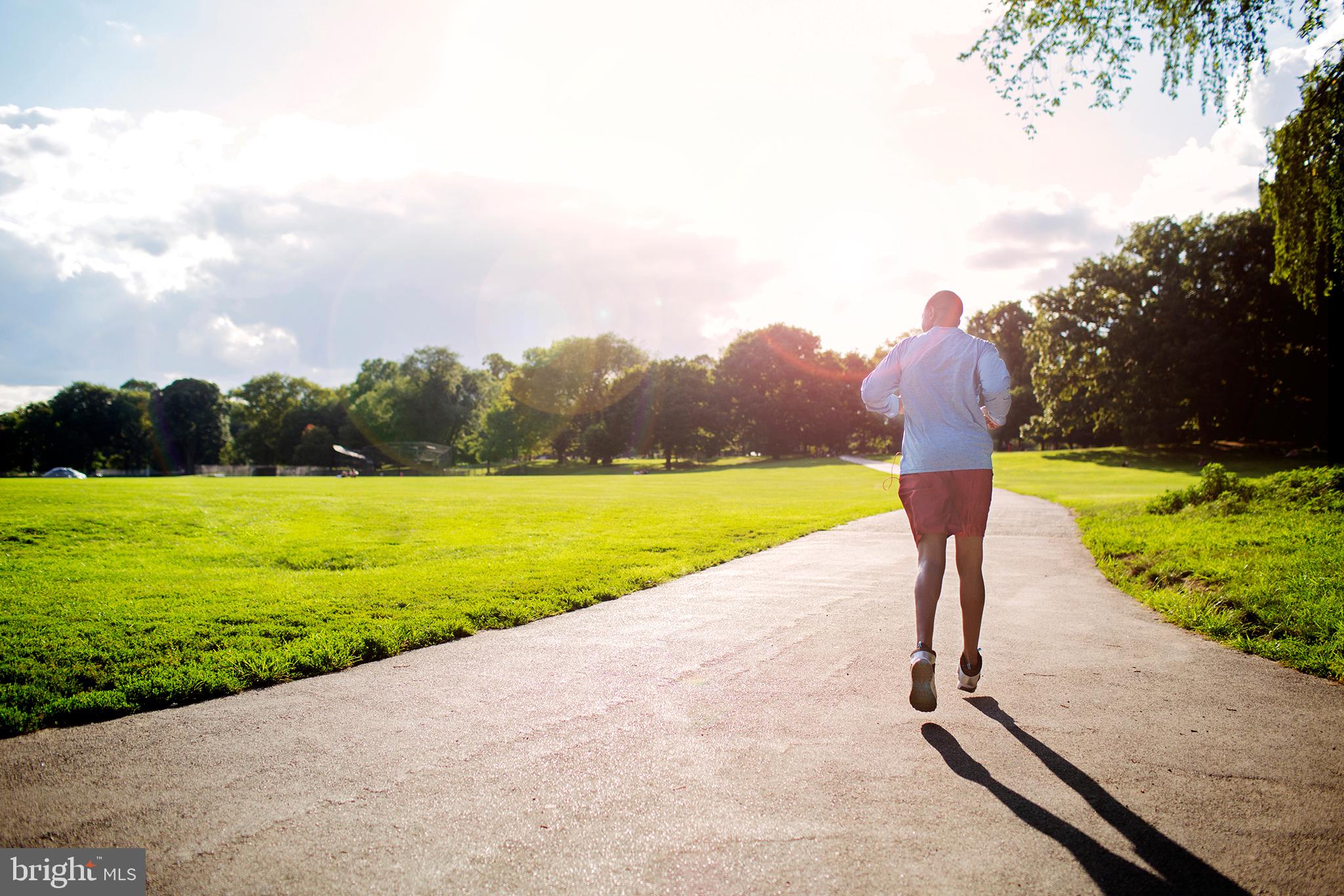 AMBROSE TREE PLACE SASHA 31-F2