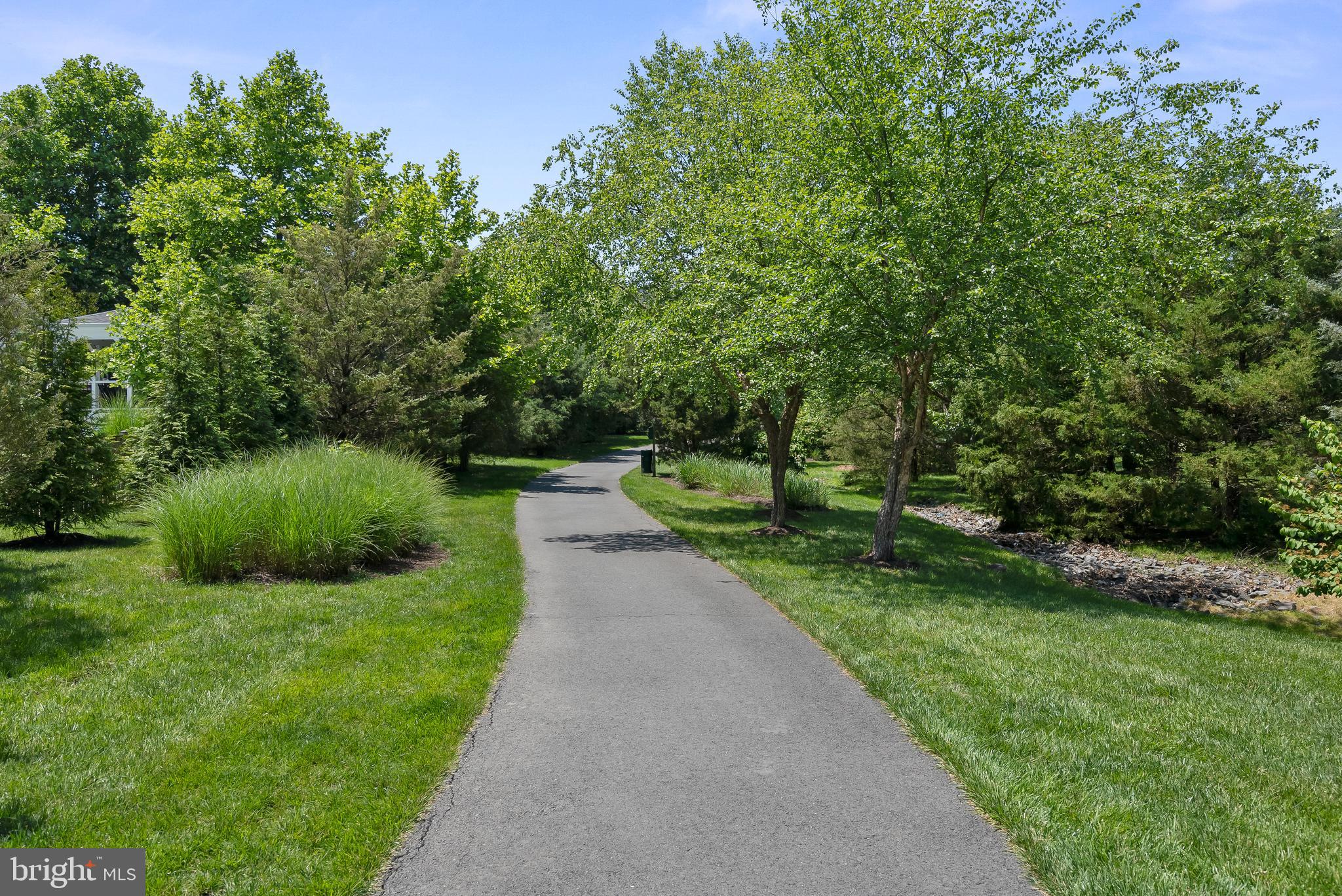 42987 CEDAR SPRINGS COURT