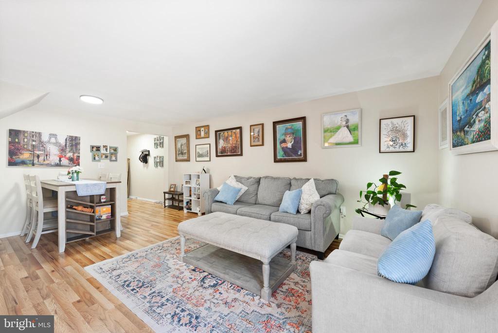 15 DULANY COURT