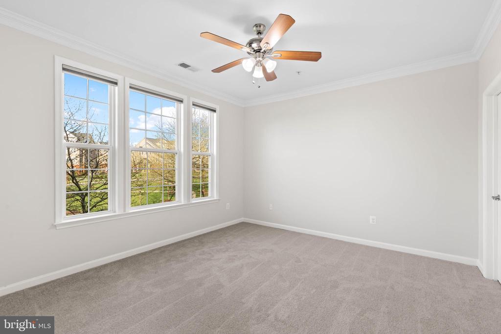 42554 WILDLY TERRACE