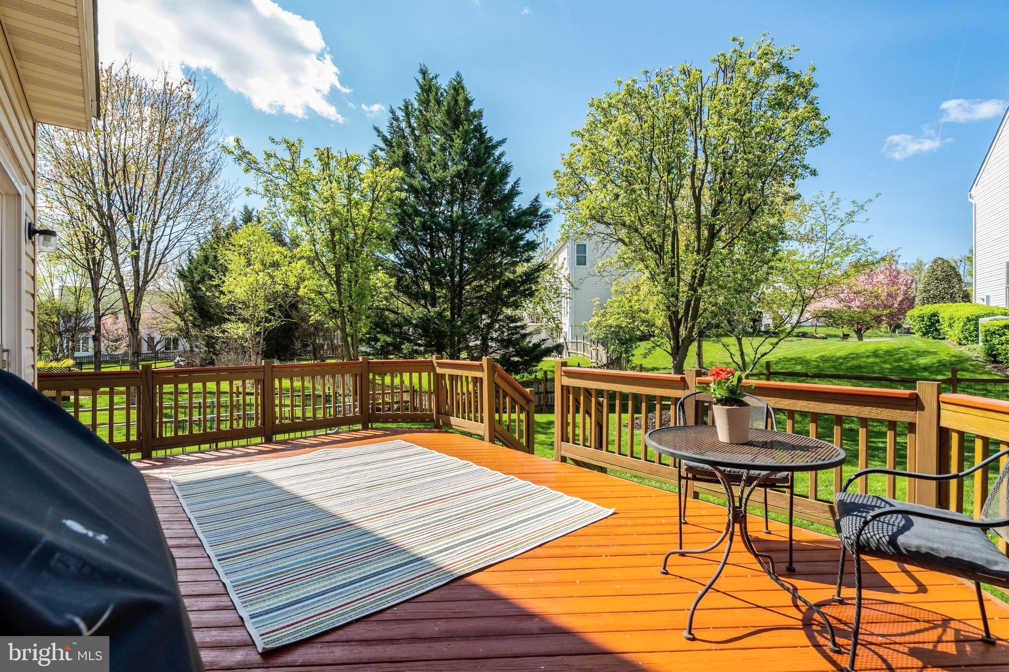20799 AMBERVIEW COURT