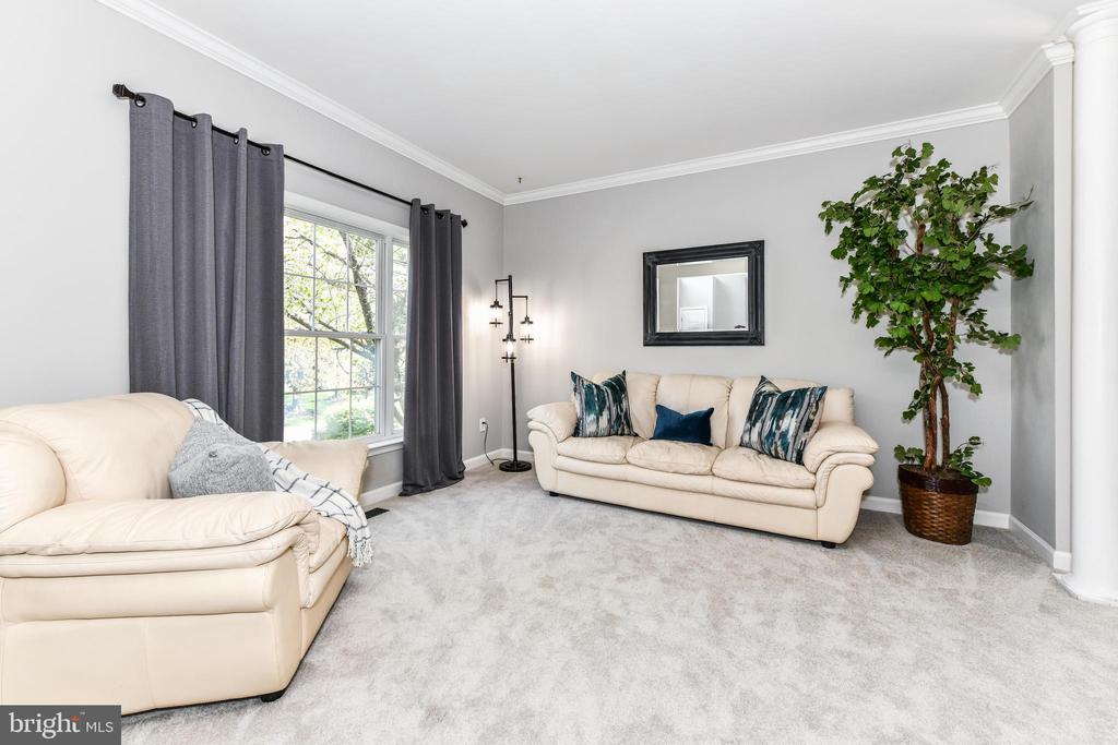20855 BLYTHWOOD COURT