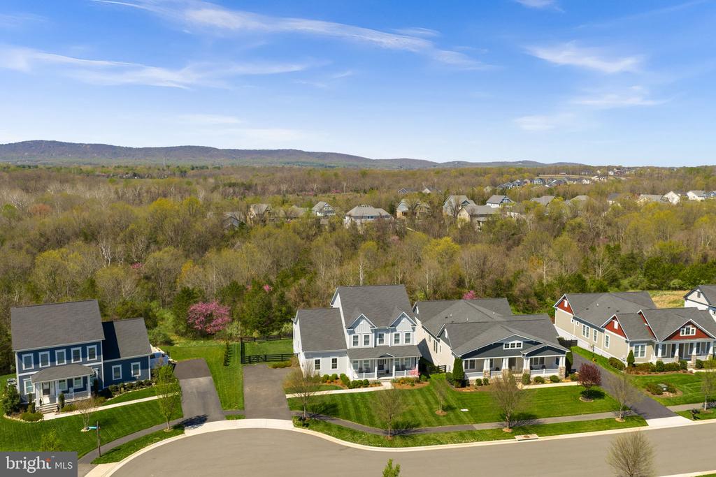 25959 CULLEN RUN PLACE