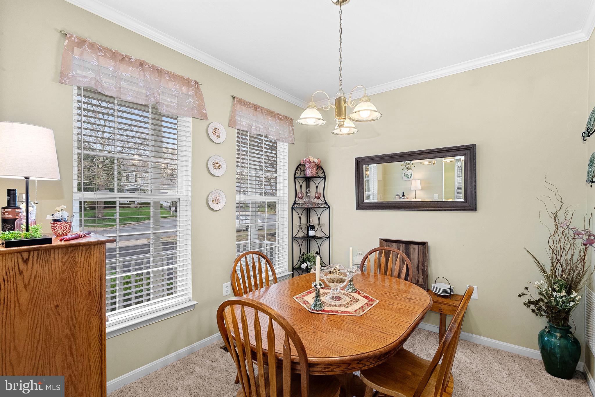 17304 CEDAR BLUFF COURT