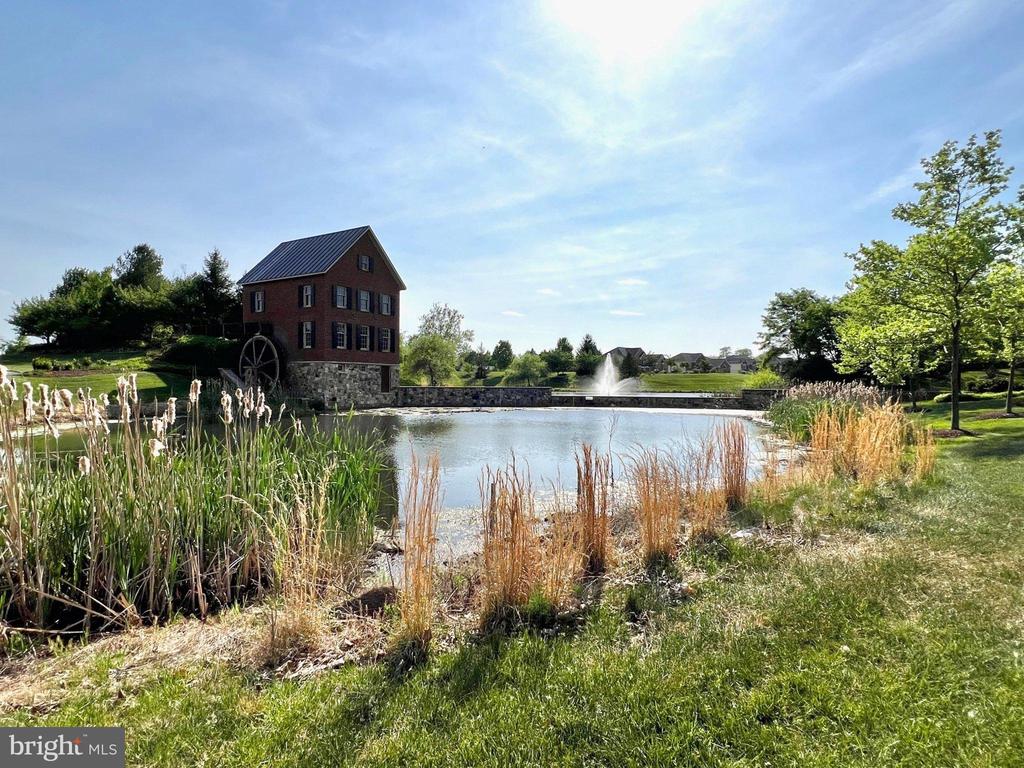 24247 PURPLE FINCH DRIVE