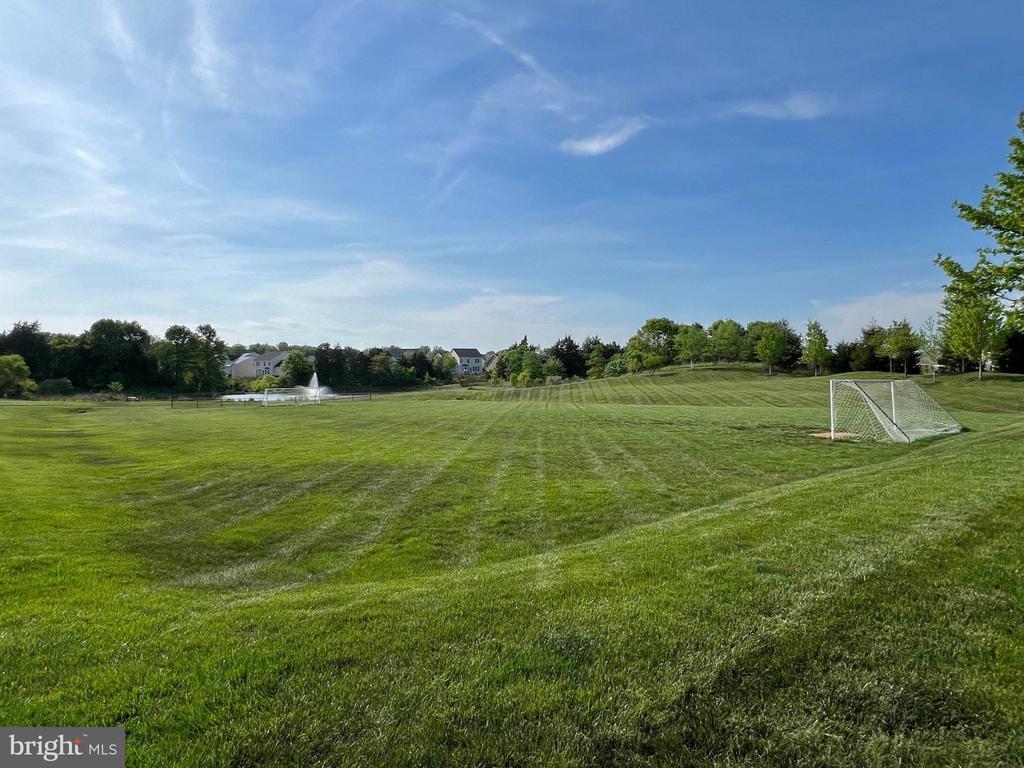 24247 PURPLE FINCH DRIVE