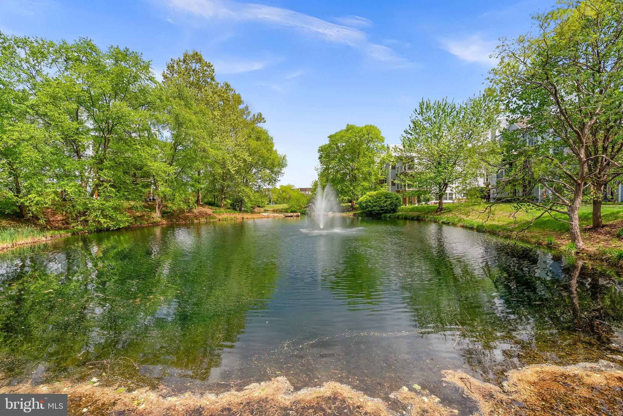 20590 CORNSTALK TERRACE 102