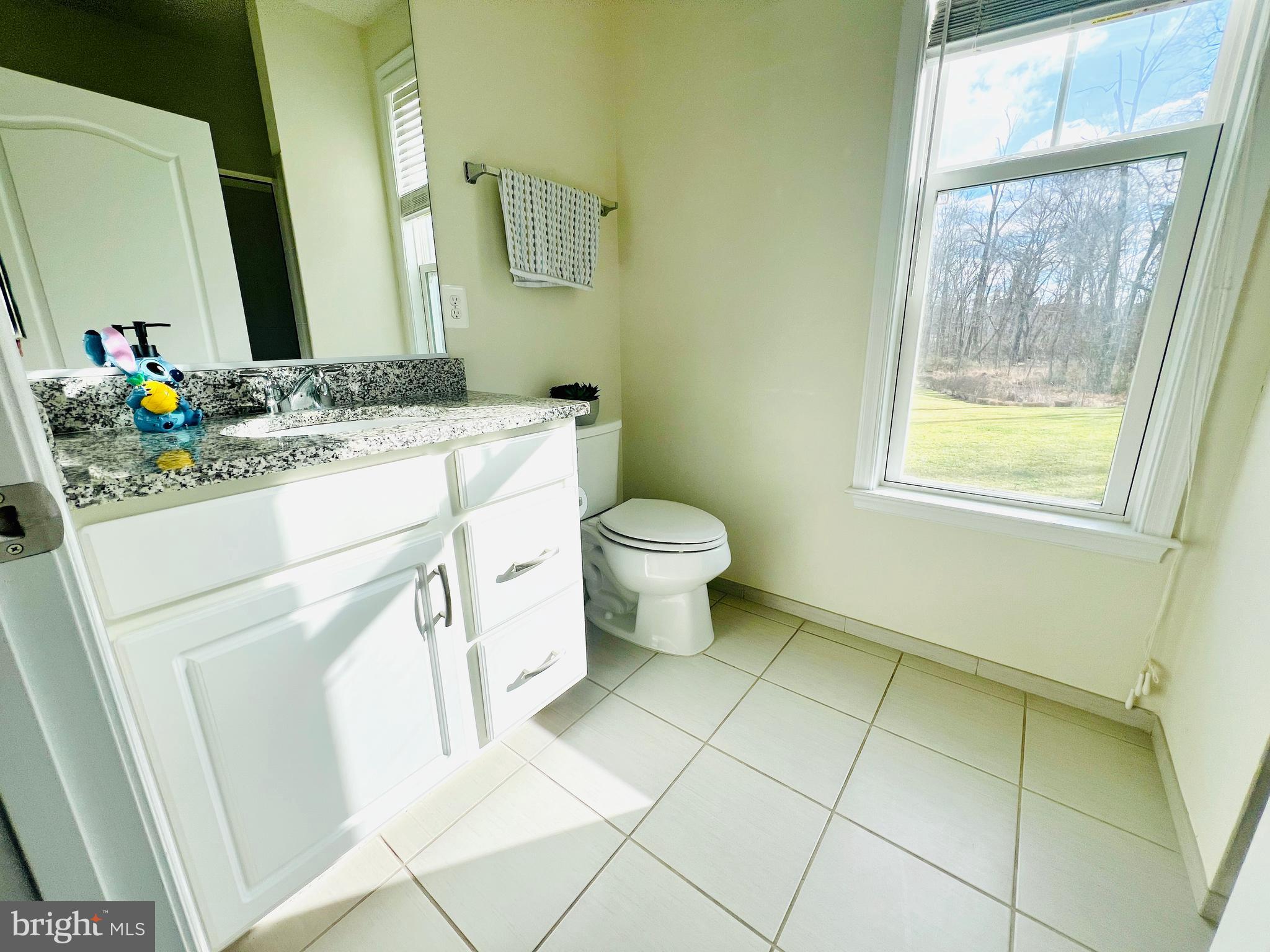 24823 BARRINGTON GROVE COURT