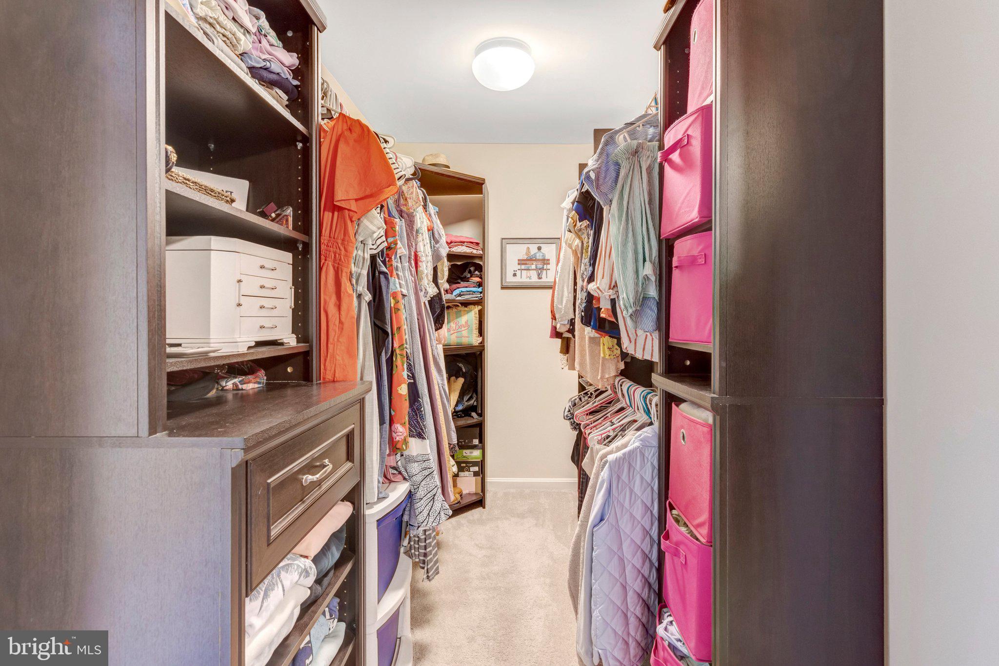 23418 SPICE BUSH TERRACE