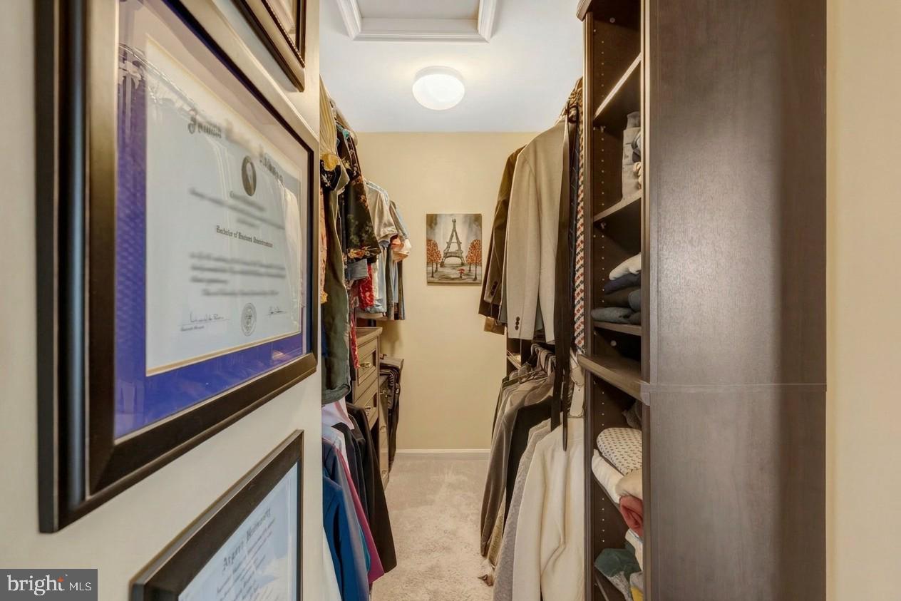 23418 SPICE BUSH TERRACE
