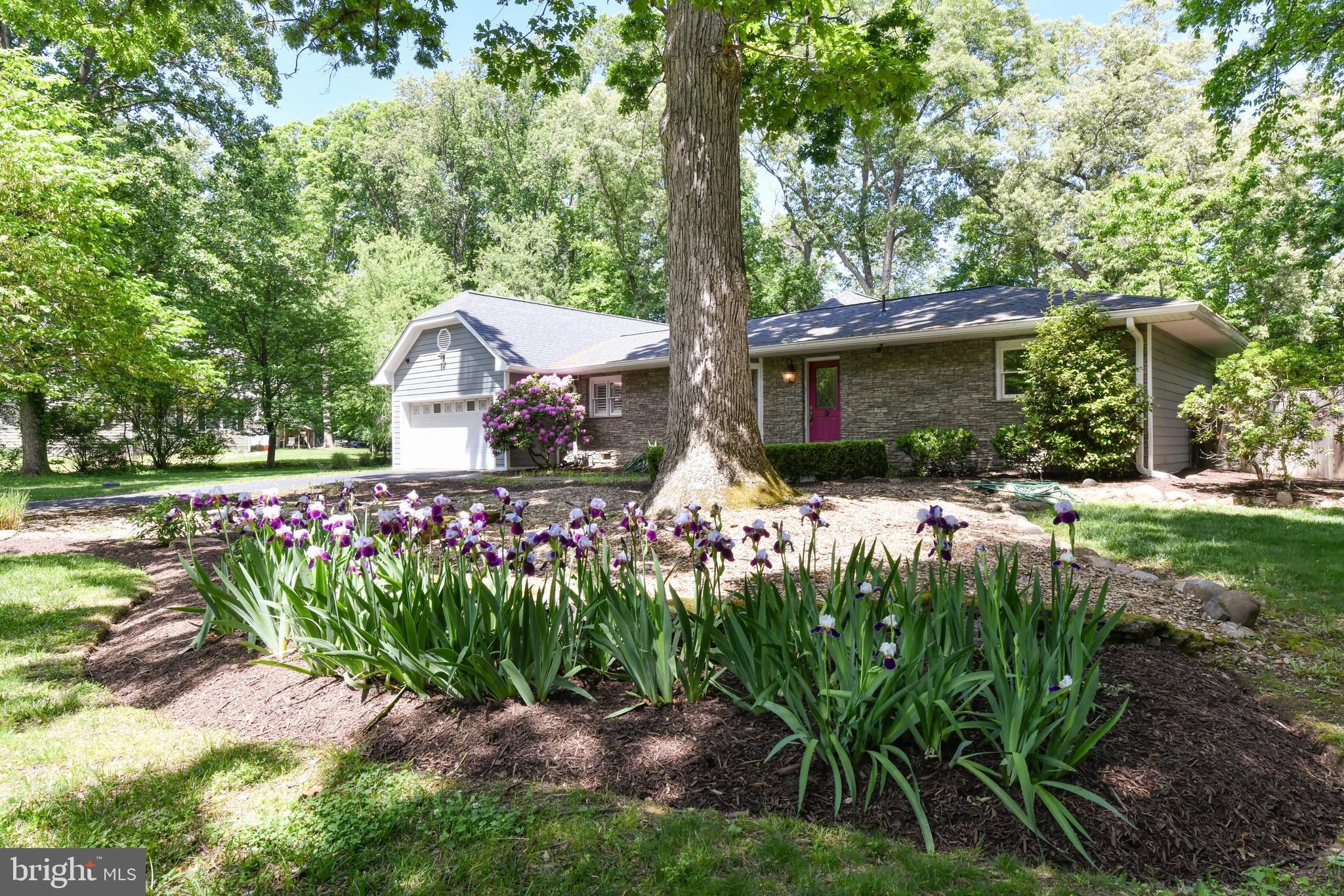 14 OAK LANE
