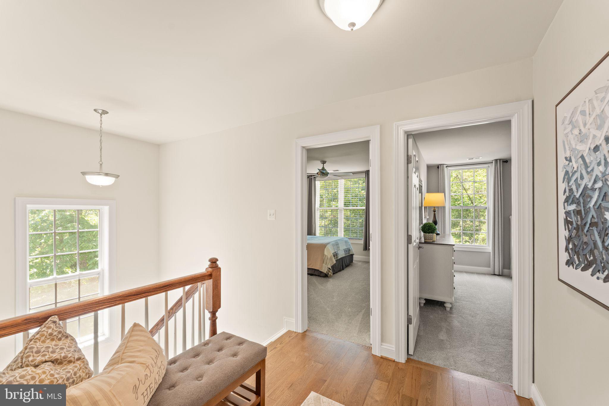 18113 LINDEN GROVE COURT
