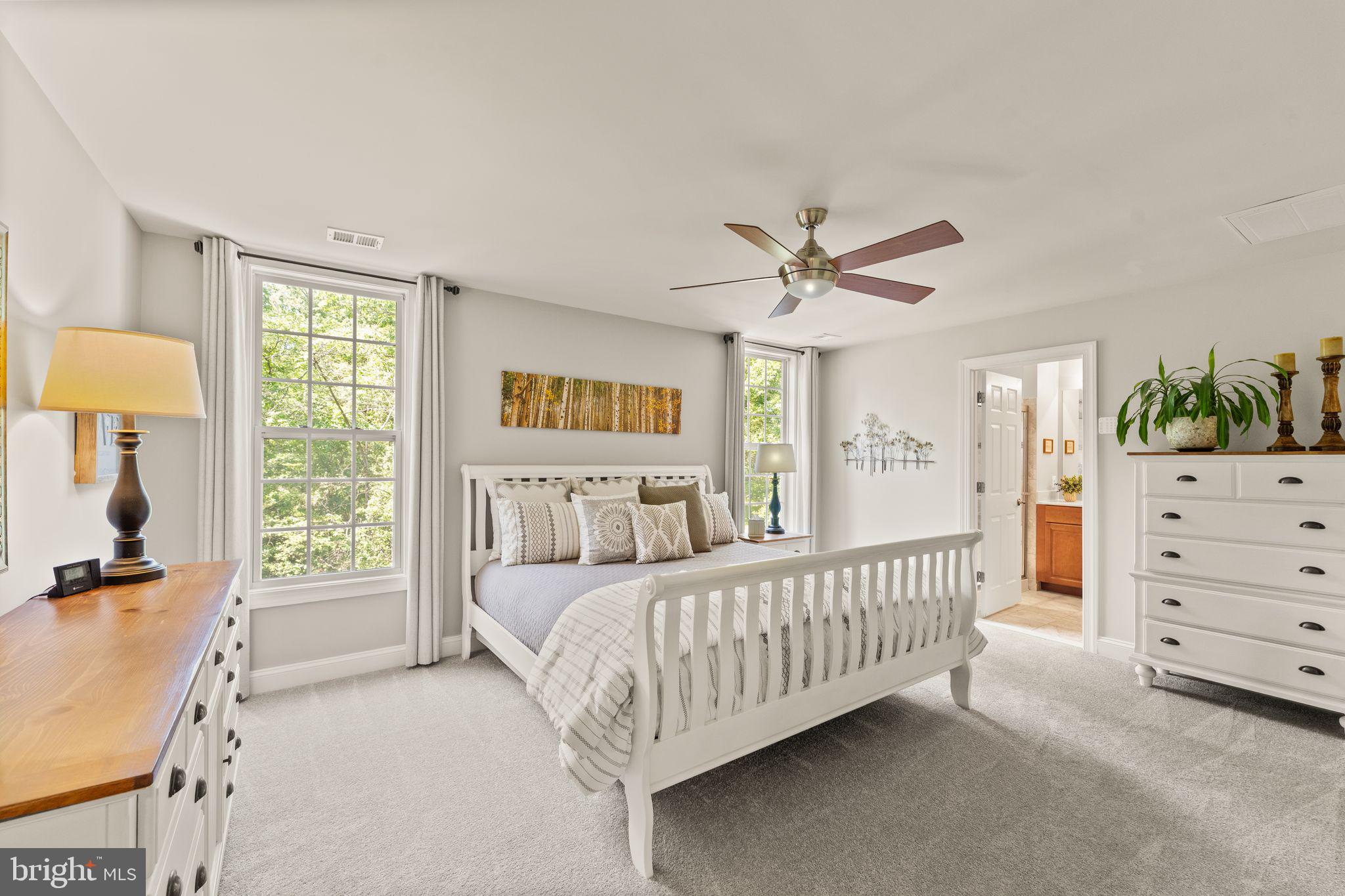 18113 LINDEN GROVE COURT