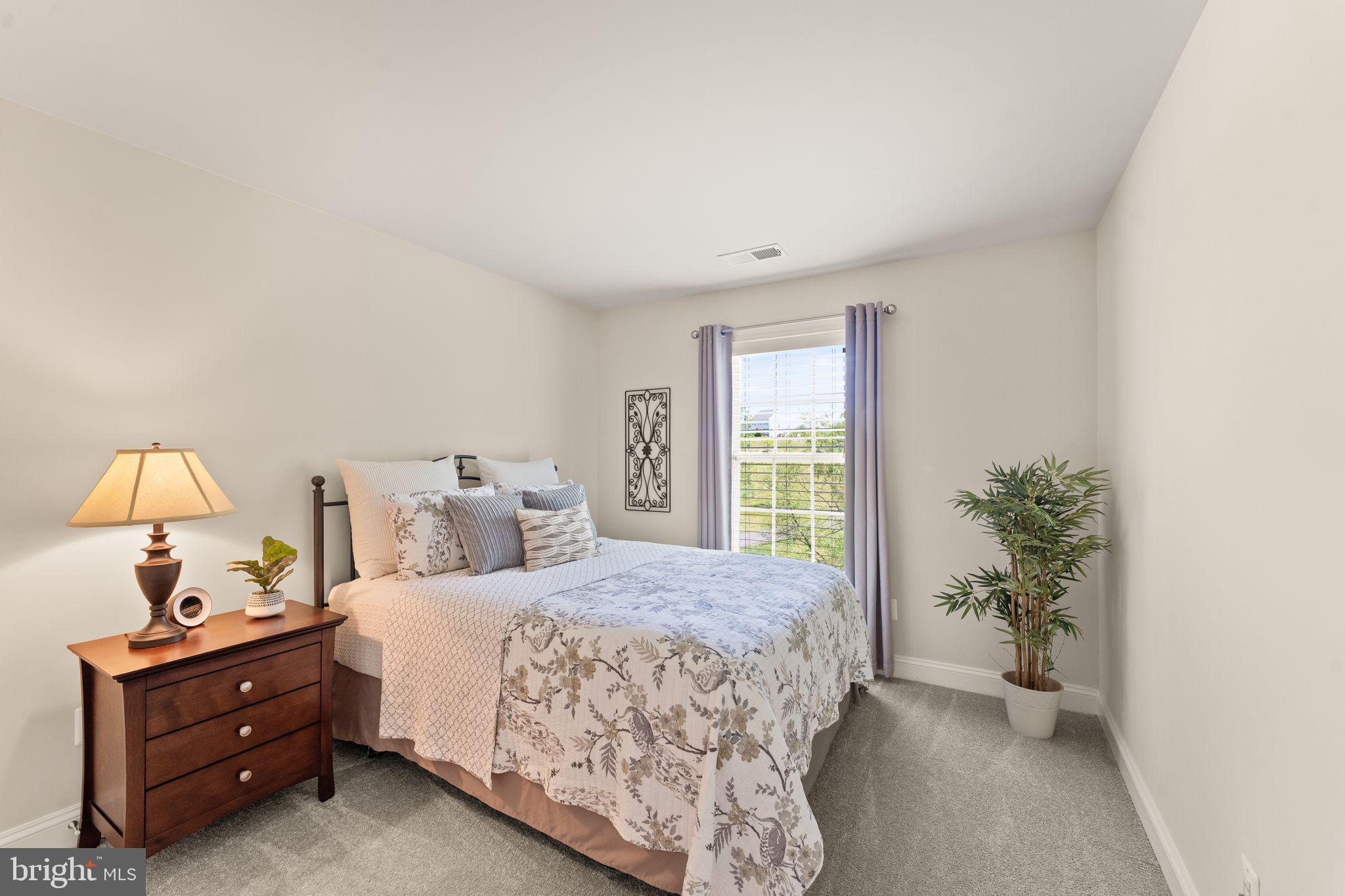 18113 LINDEN GROVE COURT