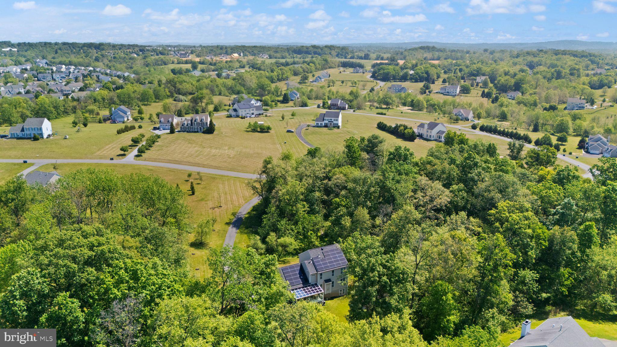 18113 LINDEN GROVE COURT
