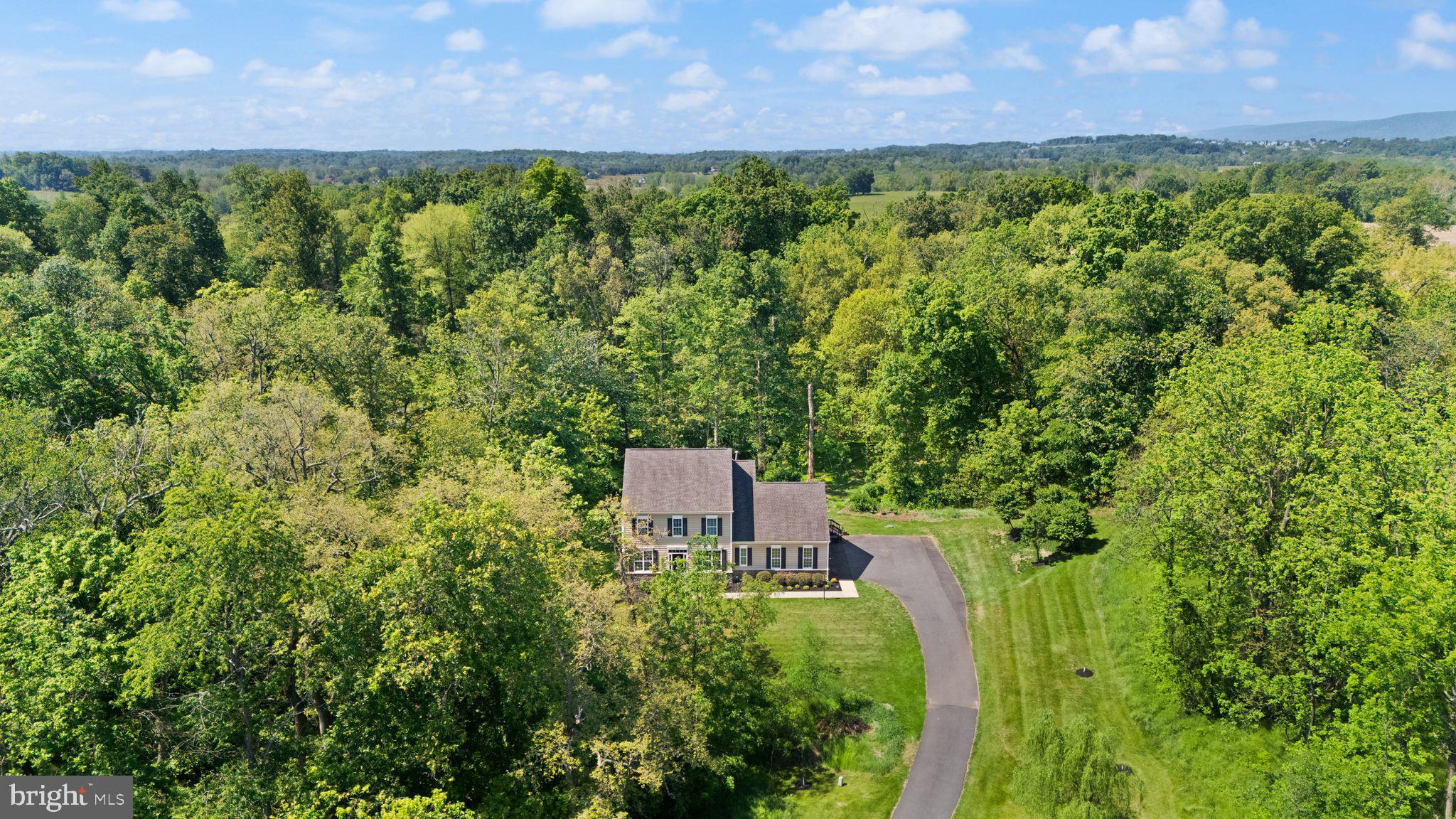 18113 LINDEN GROVE COURT