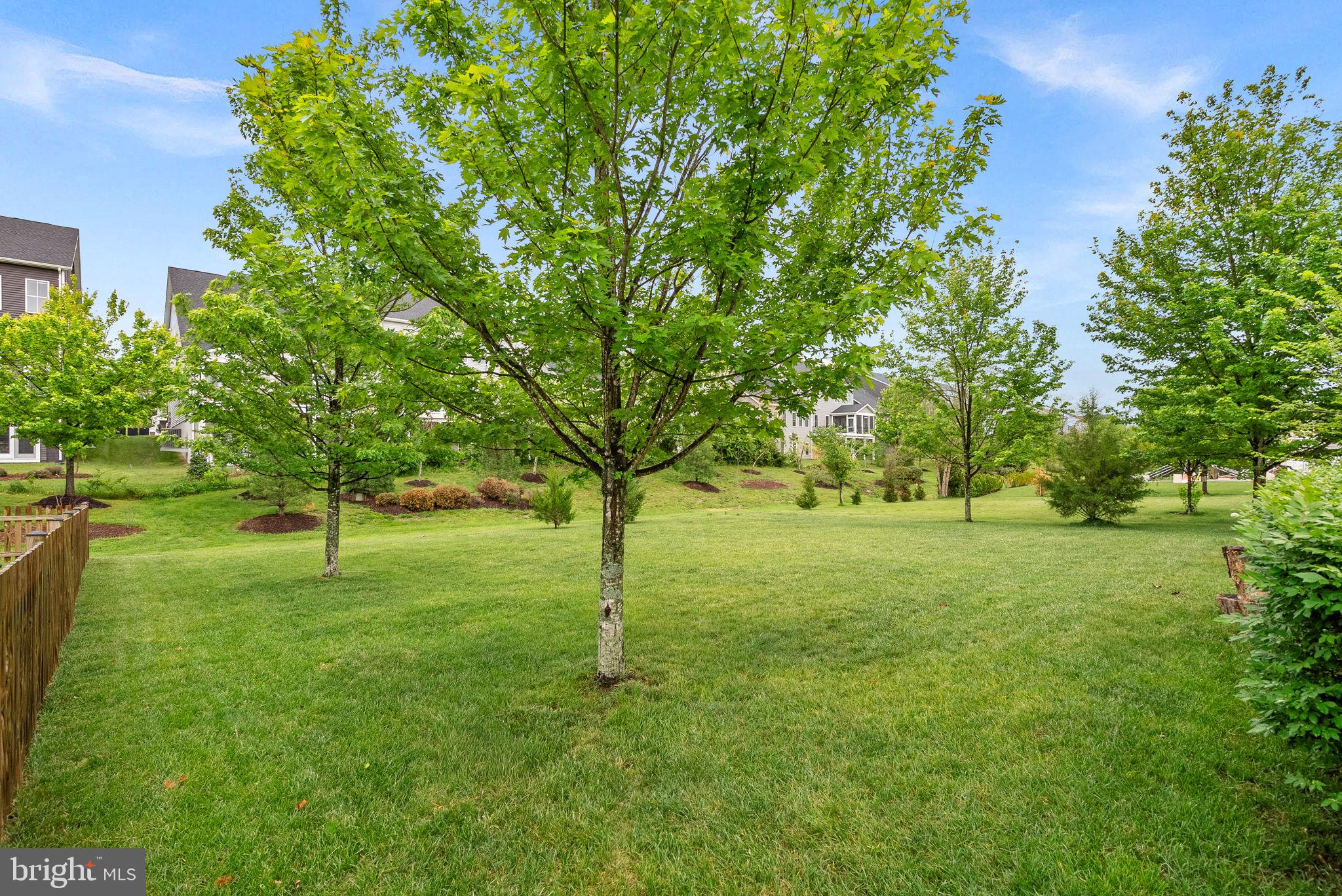 25562 MINDFUL COURT