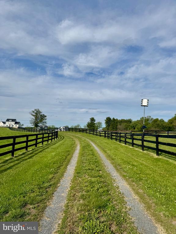 19255 TELEGRAPH SPRINGS ROAD