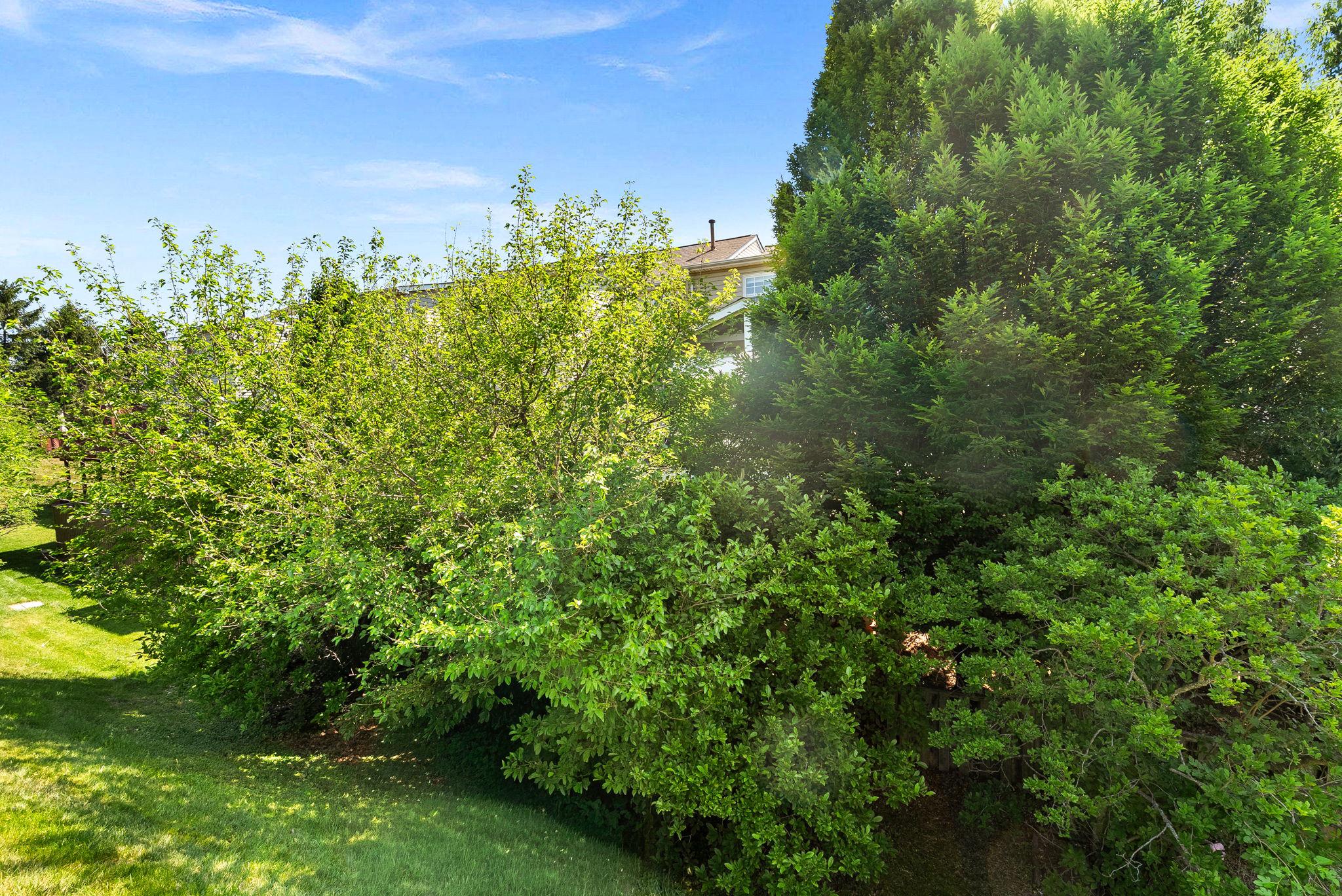 44168 PAGET TERRACE